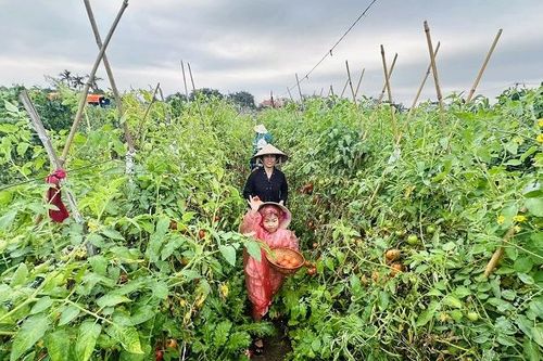 Đến Giang Biên trải nghiệm du lịch nông nghiệp gắn với cộng đồng