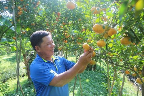 Nhiều điểm sáng trong phát triển kinh tế - xã hội năm 2023