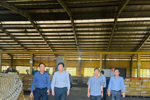 Công ty TNHH một thành viên Cao su Chư Sê được đề cử Giải Vàng Chất lượng quốc gia năm 2023