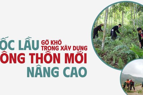 Cốc Lầu gỡ khó trong xây dựng nông thôn mới nâng cao