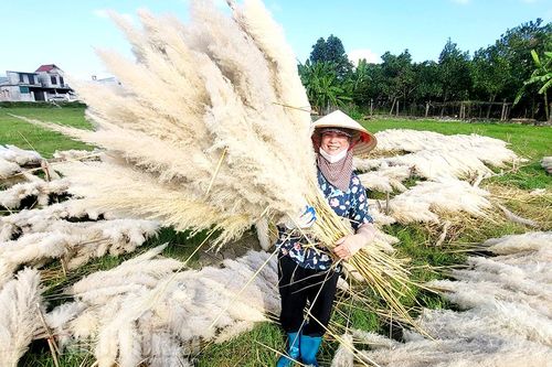 Kiếm tiền từ những bông cỏ dại