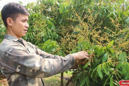 Tuổi trẻ Sông Mã năng động phát triển kinh tế