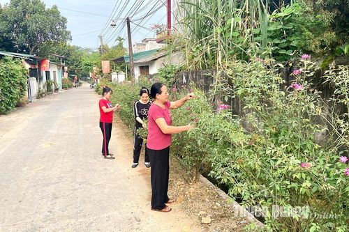 Nữ Bí thư Chi bộ, Tổ trưởng tổ dân phố gần dân