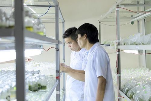 Đưa Viện Công nghệ sinh học phát triển xứng tầm