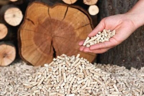 Quảng Trị: Công ty CP Năng lượng xanh Hải Lăng muốn đầu tư dự án viên nén năng lượng 186 tỷ đồng