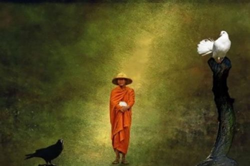 Trí tuệ vô lậu là gì?
