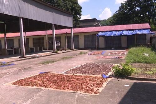 Chợ Na Mèo xây dựng dang dở, hoạt động cầm chừng sau 5 năm nâng cấp