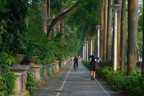 Trung Quốc: Tính hai mặt của 'đồng xu carbon'