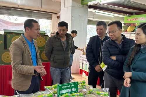 Hà Nội: Giới thiệu quảng bá, tiêu thụ hàng trăm sản phẩm nông nghiệp an toàn
