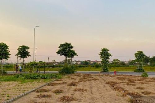 Trường hợp nào được giao đất không qua đấu giá?