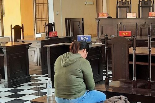 'Nữ quái' làm giả sổ đỏ chiếm đoạt hơn 700 triệu đồng