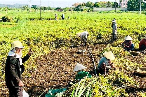 Hợp tác xã miền Trung tạo lối đi riêng – Bài 3: Sớm khơi thông nguồn lực