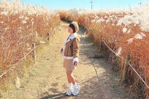 Du khách Việt Nam sang Hàn Quốc du lịch đông nhất khu vực Đông Nam Á