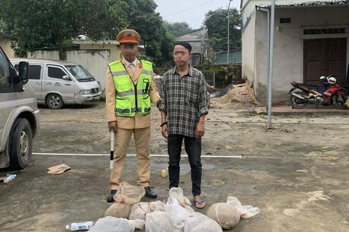 Quảng Trị: Bắt giữ vụ vận chuyển trái phép động vật hoang dã