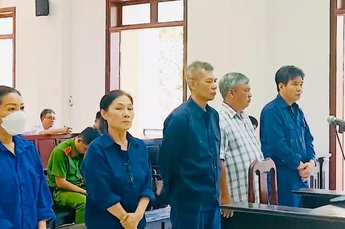 Lừa đảo hơn 400 người, vợ chồng chủ Công ty Sài Gòn Cây Cảnh lãnh 37 năm tù