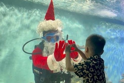 Ông già Noel 'tung tăng' trong bể cá tại Nha Trang