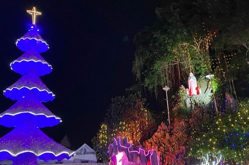 Kì công làm cây thông Noel từ hàng triệu vỏ ốc ở Nghệ An
