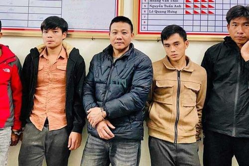 Khởi tố nhóm đối tượng cưa trộm hơn 40 tấn keo ở Quảng Bình