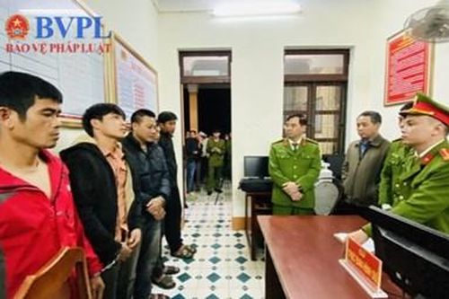 Phê chuẩn khởi tố các đối tượng trộm cây keo của dân đem bán