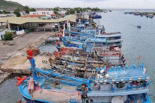 Các địa phương chủ động ứng phó với diễn biến của áp thấp nhiệt đới