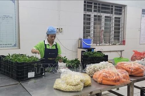 Hà Nội: Kết nối đảm bảo nguồn cung thực phẩm an toàn dịp cuối năm