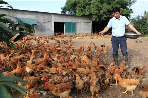Phát huy tiềm năng vùng đất khó ven sông