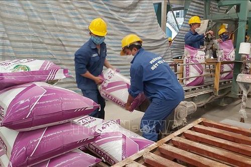 Giá phân bón trong nước có biến động theo thế giới?