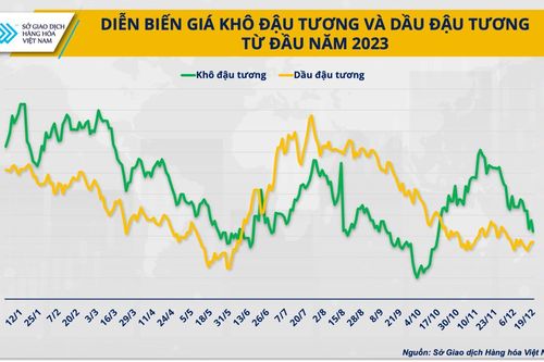 Thấy gì từ việc Brazil thúc đẩy mở rộng sử dụng nhiên liệu sinh học?