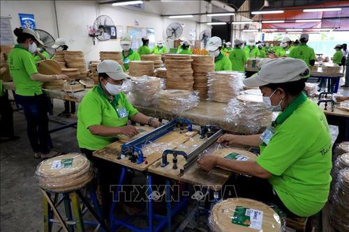 Doanh nghiệp liên kết vùng, khai thác thị trường nội địa