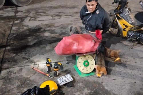 Bình Phước: Trạm CSGT Đồng Phú truy đuổi 6km, bắt đối tượng trộm chó