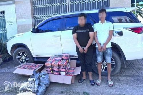 Bắt thêm một nhóm đối tượng vận chuyển gần 100kg pháo lậu