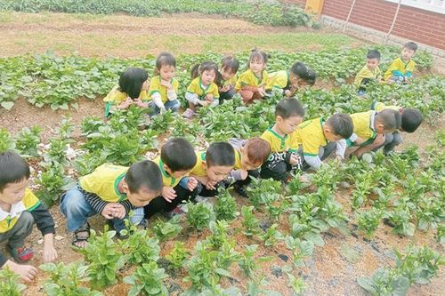 Những vấn đề cần giải quyết trong giáo dục mầm non