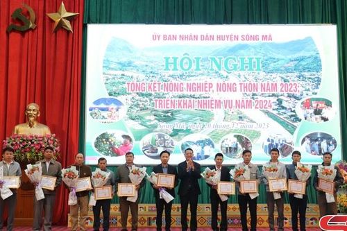 Triển khai nhiệm vụ phát triển nông nghiệp, nông thôn năm 2024