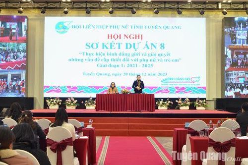 Sơ kết Dự án 8 về thực hiện bình đẳng giới và giải quyết những vấn đề cấp thiết đối với phụ nữ và trẻ em