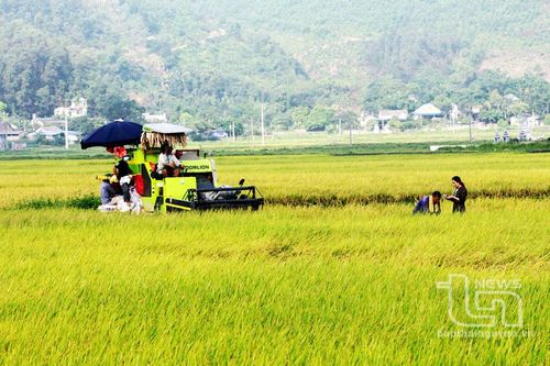 Bức tranh nông nghiệp nhiều 'gam màu sáng'