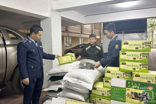 Thu giữ lượng lớn hàng hóa không rõ nguồn gốc xuất xứ