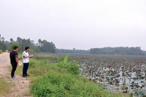 Vĩnh Phúc: Tập trung giải phóng mặt bằng Khu công nghiệp Sông Lô I