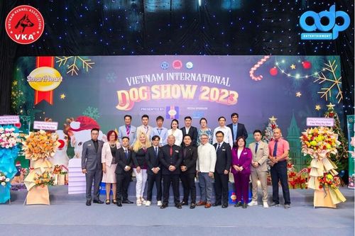 'Vietnam International Dog Show 2023' cuộc thi chó giống lớn nhất tại Việt Nam: Nơi quy tụ nhiều giống chó quý từ trong và ngoài nước