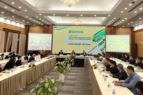 Sớm sửa đổi chính sách thuế VAT với mặt hàng phân bón