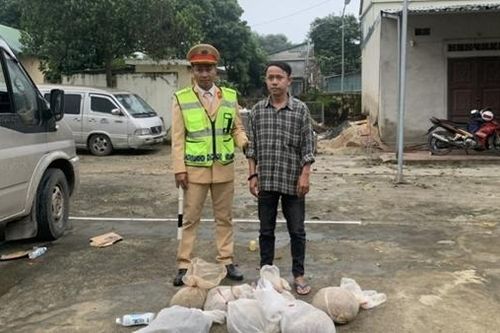 Giấu hàng chục cá thể tê tê và rắn trong xe chở chuối