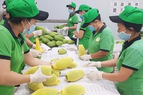 Thúc đẩy xuất khẩu nông thủy sản, thực phẩm của Việt Nam sang Vân Nam (Trung Quốc)