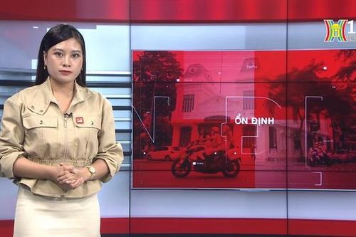 Bản tin 141 | 20/12/2023