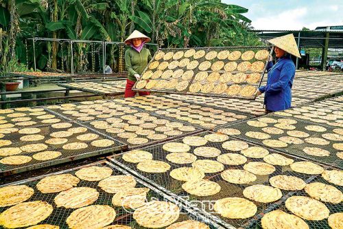 Vàng ươm chuối đầy giàn