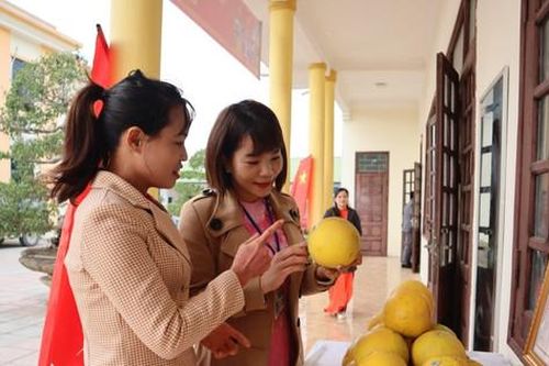 Hoàn thành thẩm định 7 xã nông thôn mới nâng cao, kiểu mẫu của Chương Mỹ