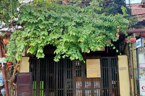 Quảng Nam: Một số khách hàng bị ngộ độc kiện chủ cơ sở bánh mì Phượng ra tòa
