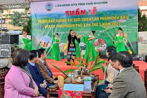 Thái Nguyên tổ chức Tuần lễ trưng bày, quảng bá, giới thiệu sản phẩm tiêu biểu HTX 28 tỉnh, thành phố