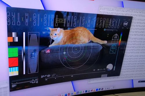 NASA nhận đoạn phim con mèo từ khoảng cách 31 triệu km ngoài vũ trụ