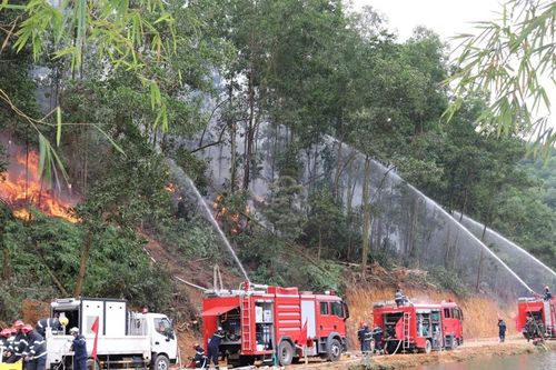 Diễn tập phòng cháy, chữa cháy rừng cấp quốc gia tại Hà Nội