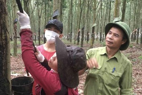 Cựu chiến binh Vũ Mạnh Khải: Không chỉ làm giàu cho riêng mình