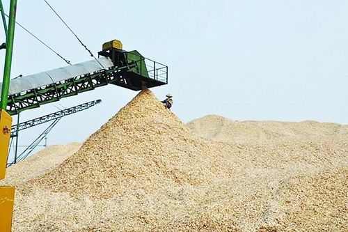 Xuất khẩu viên nén gỗ: Cần thêm lực đẩy từ chính sách để phát triển bền vững